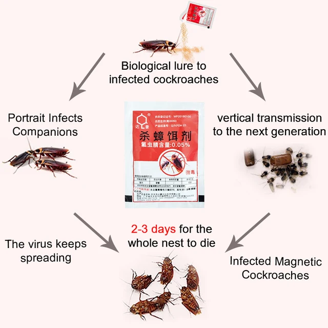 20/50/100Db Hatékony Gyilkos Csótány Porcsali Anti Kártevő Csapda Kártevőirtó Termékek Konyhai Étteremhez - Image 5