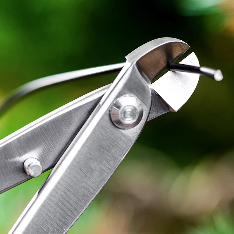 Slide image d54a992df28247e4961273fb52bd9480