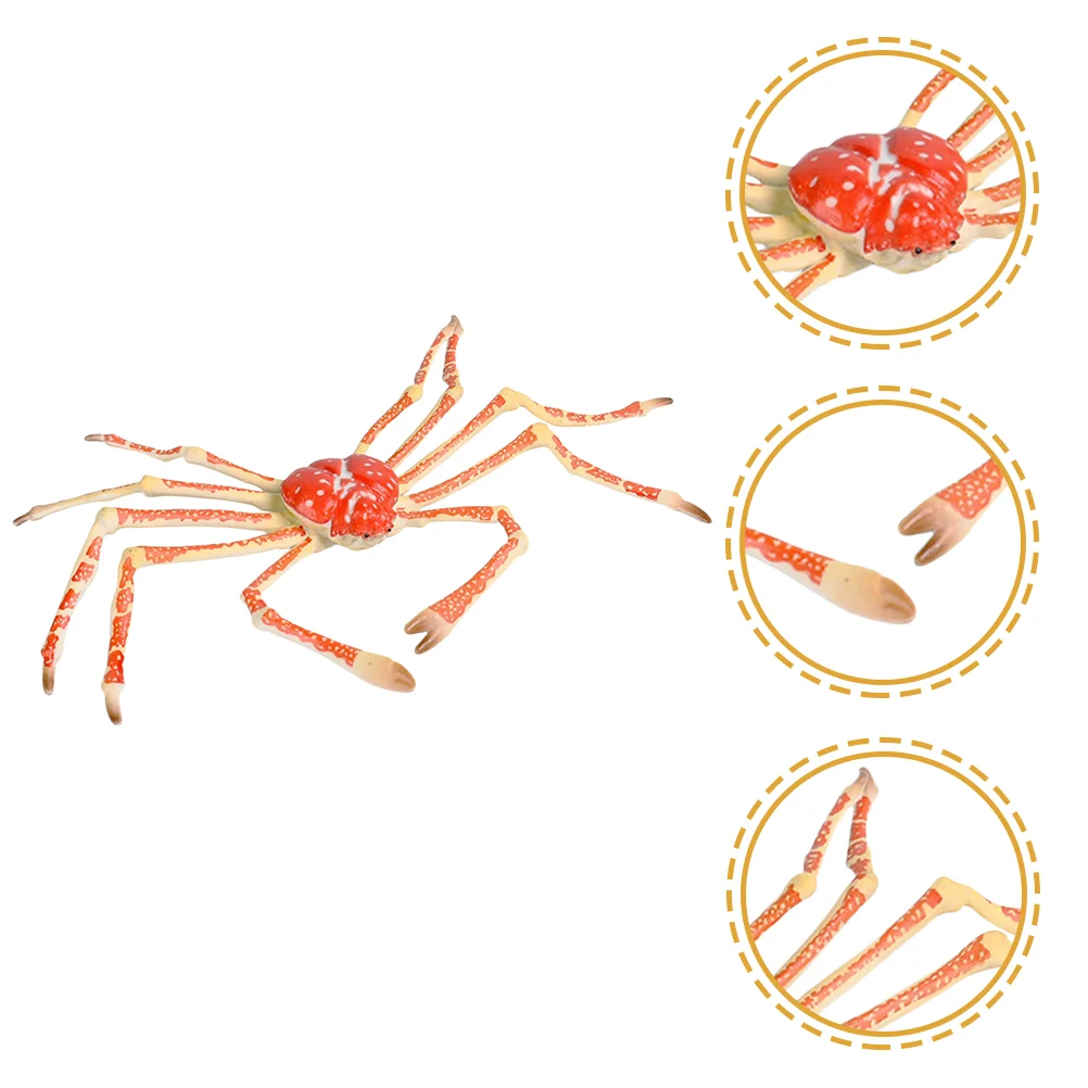 

Crab Model Simulated Sea Life Animal Figurine Vivid Early Educational Toy