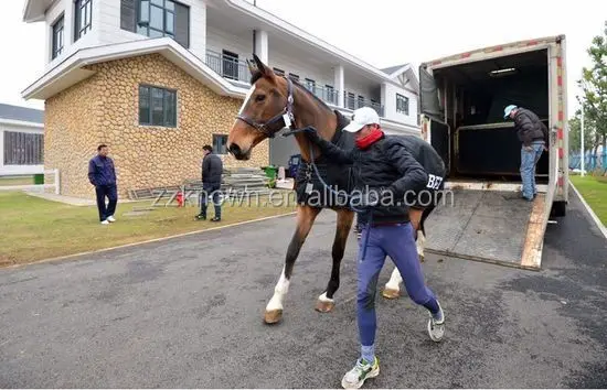 Рисунок 4 - OEM австралийский стандарт 2 лошадиных