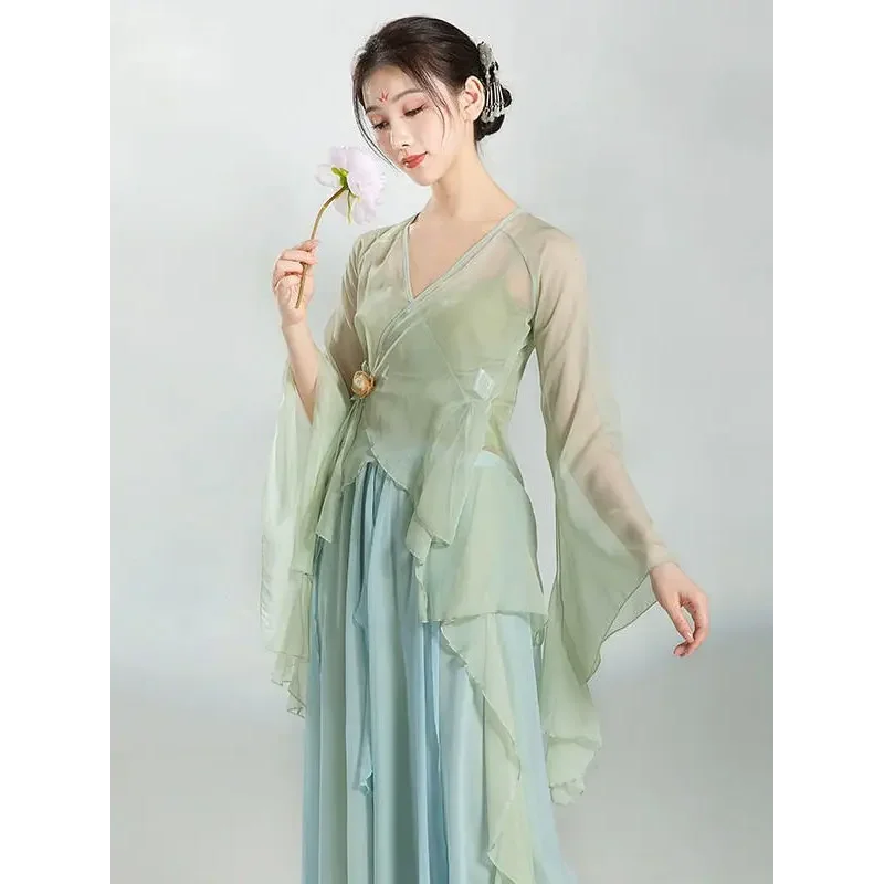 Chinese Classical Dance Dress Flowing Chinese Style Half Skirt Chiffon National Style Stage Performance Costume