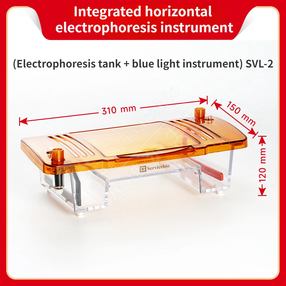 Integrated Horizontal Electrophoresis Instrument (electrophoresis Tank + Blue Light Instrument)
