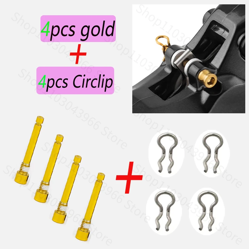 4 pezzi d'oro