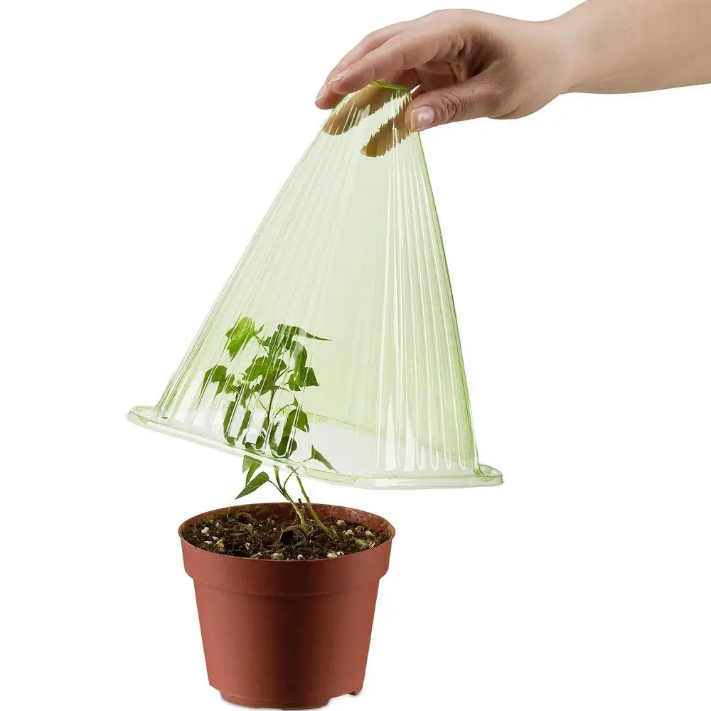

10pcs Plant Protective Cover Bell Cloches Avoid Bird Frost Snail Damage Seeds Germination Frost Protection Plants Supplies
