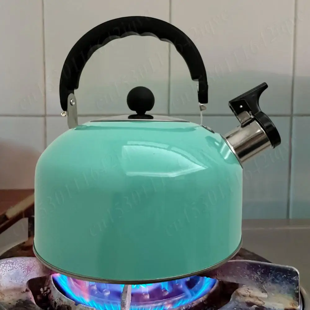 3L Stainless Steel Whistling Tea Kettle Water Boiler Heat-Resistant Flat Bottom Teapot Multi-Function Camping Pot All Stoves
