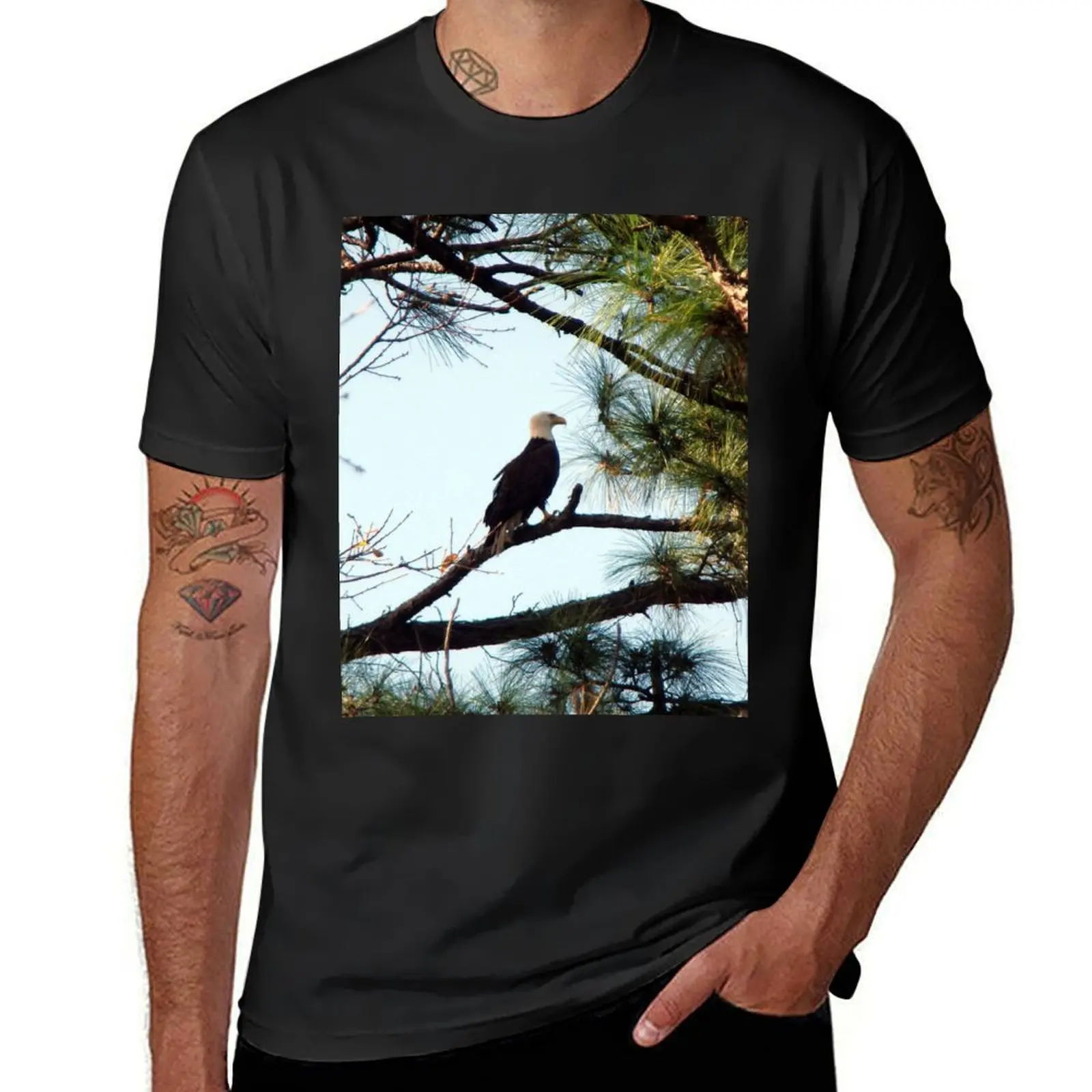 

Bald eagle during winter afternoon T-Shirt blanks summer top blacks mens t shirts pack
