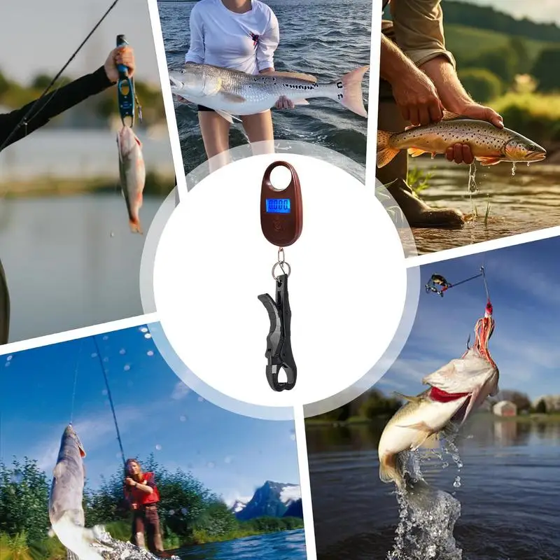 Fishing Small Digital Scale With High Precision Measurement Electronic Scale 5-25kg Load Capacity Fishing Scales For Outdoor