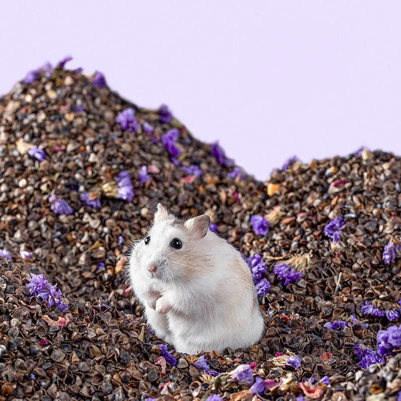 Hamster Bedding Moisture-Proof Breathable Buckwheat Shell Dust-Free Oak Small Particles Mining Cork Particles Landscaping Suppli