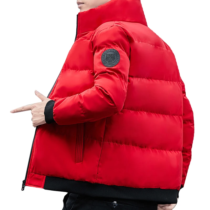 Casual Men's 2023 Autumn Winter Slim Fit  Stand Collar Parkas Solid Color Warm Cotton-Padded Jacket Youth Outdoor Wear Down Coat