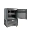 Dumpling blast freezer shock freezer -45 quick freezer 5 layers mini blast freezer price CFR BY SEA 3