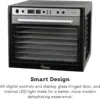 Sedona SDC-S101-B Supreme Commercial Electric Food Dehydrator with Stainless Steel Dehydrator Rack Trays, Black, 17"X19. 4
