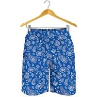 3D Print Black Paisley Bandana Pattern Shorts For Men Quick Dry Oversized Beach Shorts Homme Mens Swim Trunk Short Pants 1