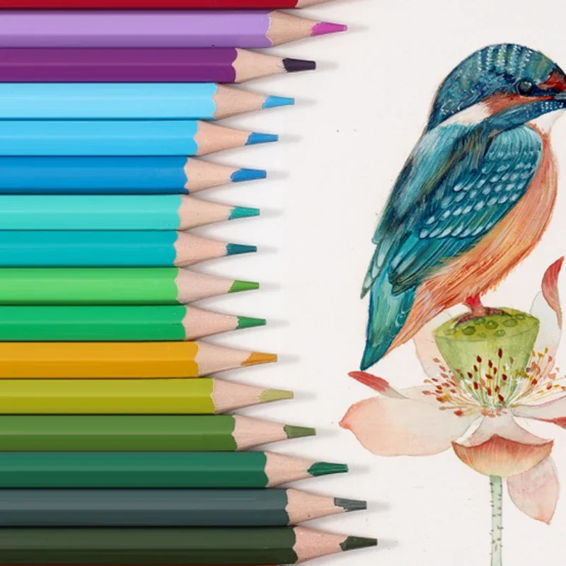 Color Pencils 12/24/48 Sets Erasable Oil-based Painting Sketching Student Supplies