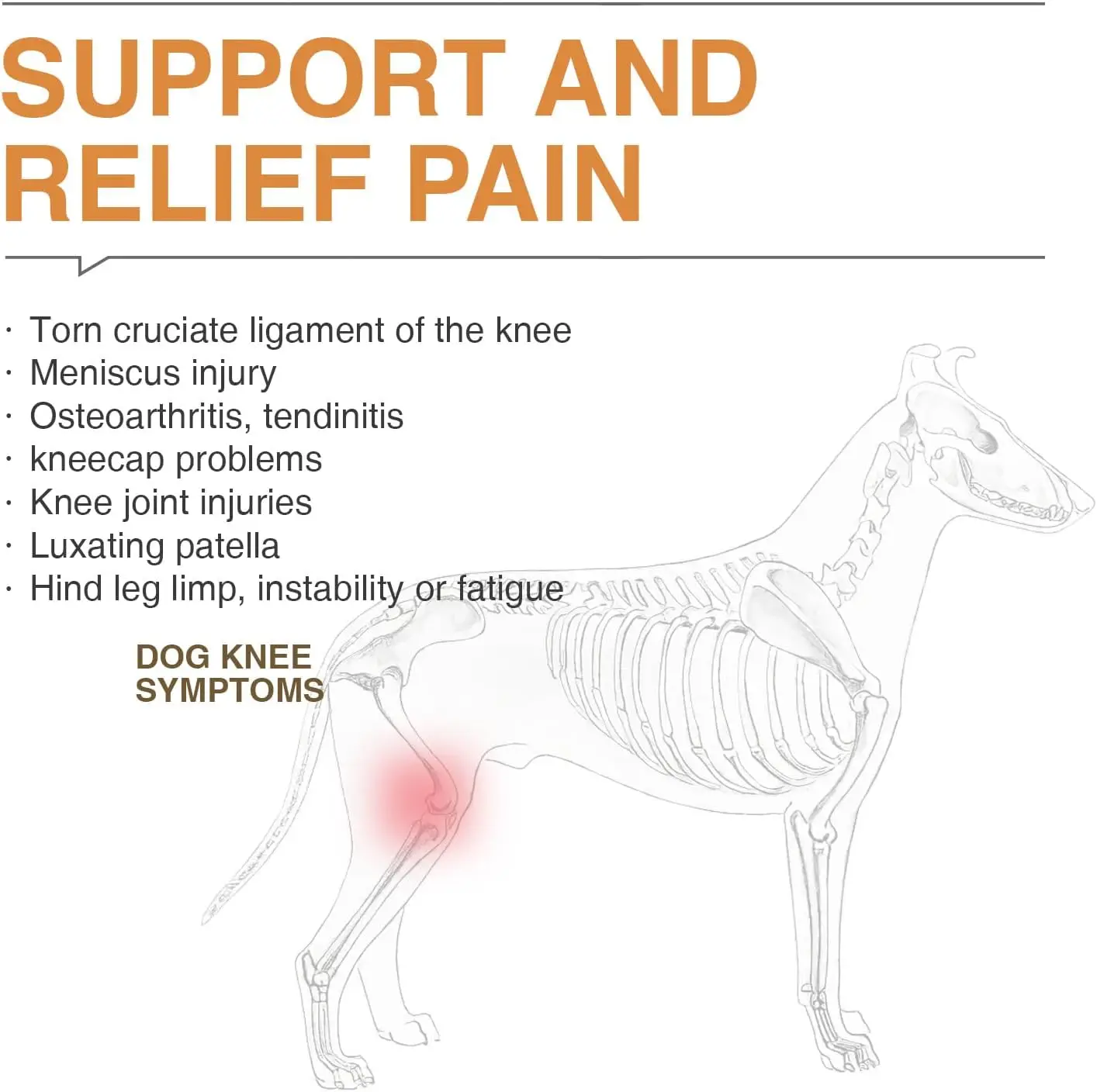 Dog Acl Knee Brace for Torn Acl Leg Dog Knee Braces for Back Leg Warm Joint and Relieves Joint Pain Better Recovery