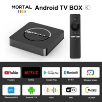 Android13 Телевизионный ящик 4K Allwinner H313 BT5.0 Google воспроизводит YouTube Tiktok HDR10 2G16G Двойной 2,4 / 5 ГБ WiFi Потоковая приставка Q1