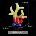 02 Coral Red Yellow