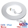 CAT6  White Flat