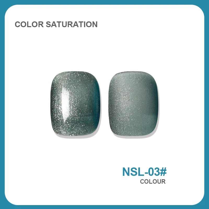 NSL 3