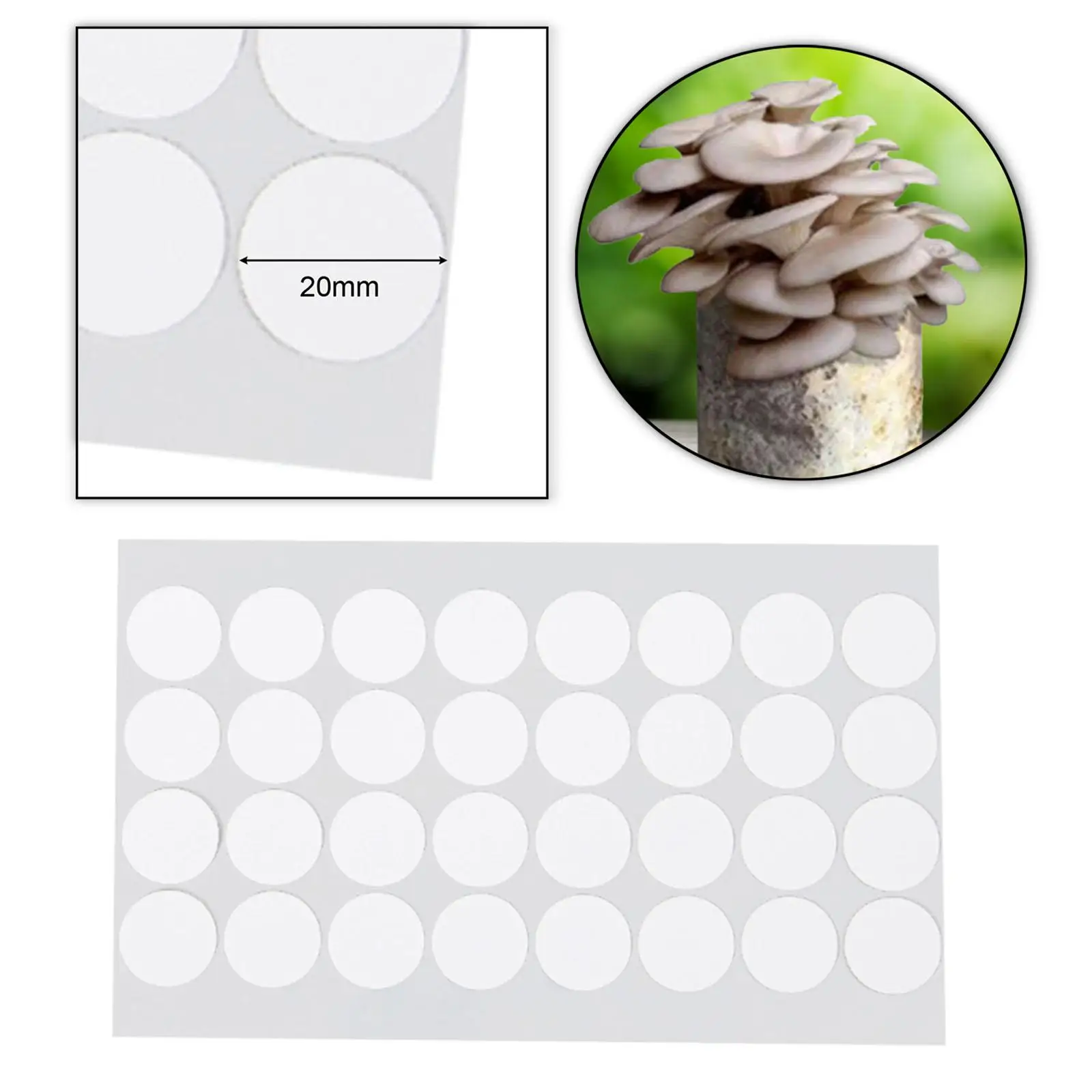 Synthetic Filter Paper Laboratory Supply Gas Exchange Strong Adhesive Easy to Apply PTFE Filter Disc Mushroom Cultivation mushroom cultivation filter paper