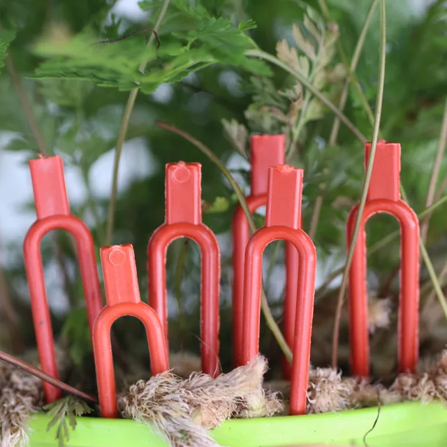 50Db Eper Piros Ültetési Rögzítő Klipek Hegymászó Támogató Kerti Szár Villa Görögdinnye Szerelvény Szőlő Tartó - Image 4