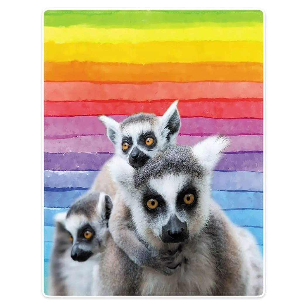 �ö��� �ø��� �Ϳ��� ������ ����Ʈ ���, ���� ���� ķ�� ��� ���� Ȩ ���� �淮 ���