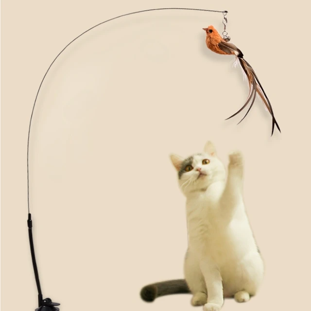 Cat Teaser Wand Dual Head Cat Feather Pole Toy With Fixed Buckle And  Suction Cup Funny Kitten Toys Cats Fishing Pole Toy - AliExpress