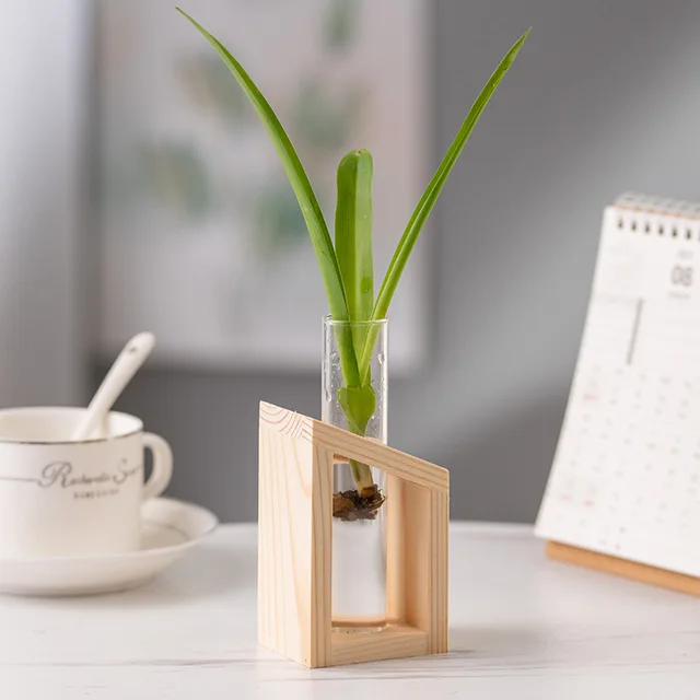 Contenitore per piante idroponiche con struttura in legno Provetta in vetro trasparente Vaso da fiori Decorazioni per bonsai da tavolo per la casa Artigianato 5