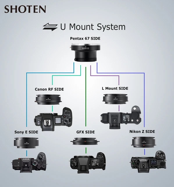 A6100 Vs A6400 Vs A6600 Sony A6100 Canon Rp Vs A6600 A6400 Vs Rp