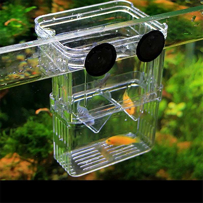 Aquarium Breeder Box Breeding Incubator Small Fish Hatchery Acrylic Divider for Shrimp Clownfish Aggressive Fish Injured fish breeding box