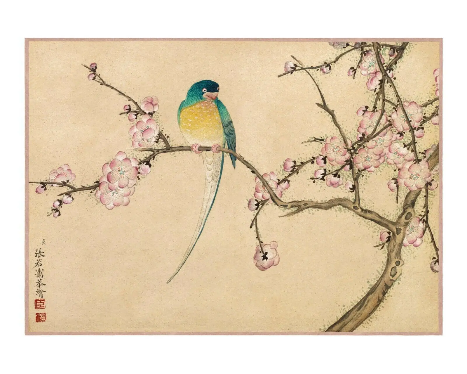 

Chinese painting.Asian Bird Art Picture Print Silk Poster Home Wall Decor