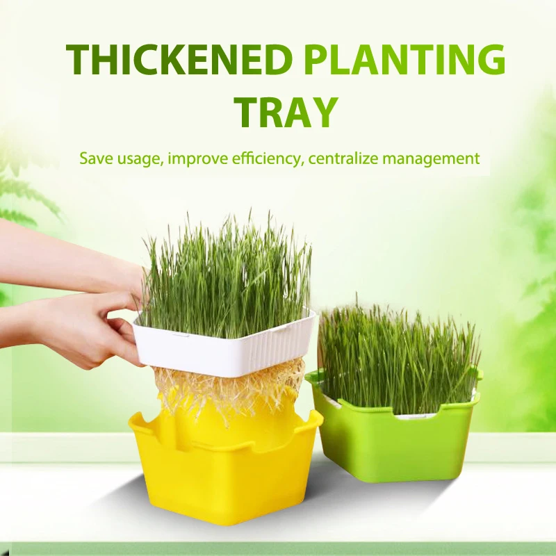 Sprout Planting Pot Bean Sprouter Seedling Tray Wheat Grass Growing Germination hydroponic germination tray plant rooting pot seedling box