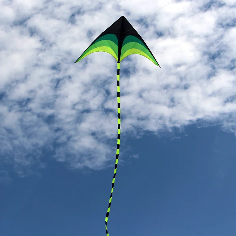1.6m Large Delta Prairie Kite Flying Toys For Children Easy to Fly Kite Handle Line Outdoor Sports Plaid Professional Wind Kites 3