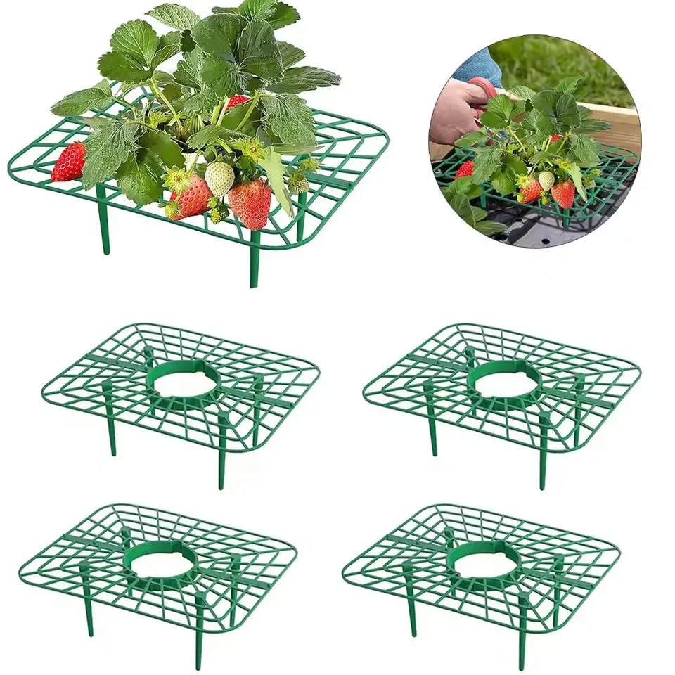 10 Packs Green Square Strawberry Support Stand Holder Growing Frame Keep Berries