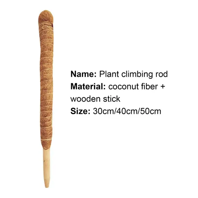 Növénytámogató Pólus Univerzális Hegymászó Bot Cococoir Oszlopok Kúszónövények Növényi Moha Kerthez - Image 5