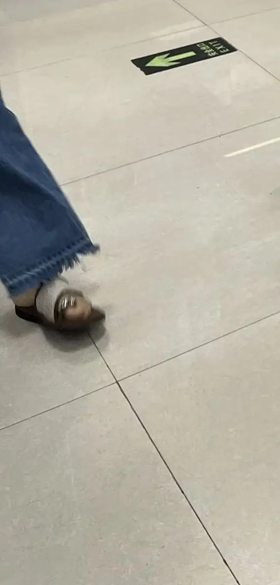 Women's Long Sleeve Solid Color Blouse