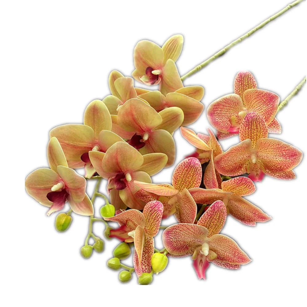 Slide image b58d976af4524bb184b71969fe90c5c7