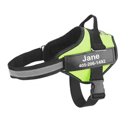 Reflective Breathable No - Pull Adjustable Dog Harness with Customizable ID Patch - S (Green)