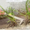Multifunction rack Weeder Crevice Weeding Tool Stainless Steel Manual Garden Lawn Weeder Beech Handle Gardening Tool 6
