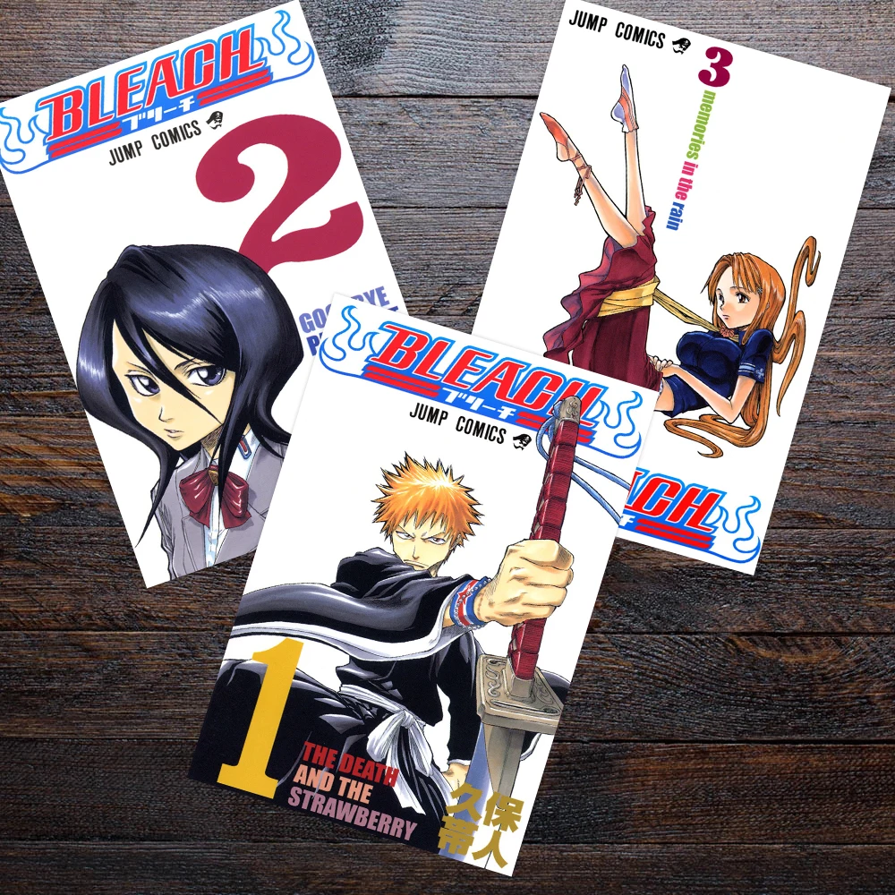 Bleach - Volume 3: Memories in the Rain