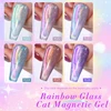 BORN PRETTY Rainbow Holographic Glass Cat Magnetic Gel 6PCS Transparent UV LED Nail Art Gel Semi Permanent Varnish Kit 4
