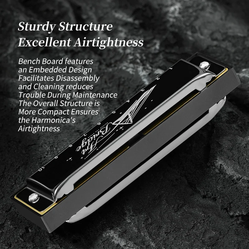 Blues Harmonica Mouth Organ 10 Hole C Key Diatonic Harmonica Case for Professional Beginner Students Adult diatonic harmonica