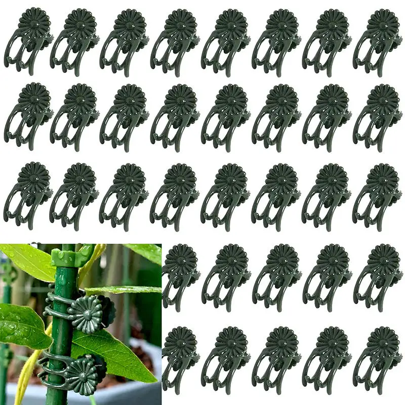 Garden Plant Clips Butterfly Orchid Clips Plant Support Stem Clamps Garden Flower Vine Plant Support Garden Tools