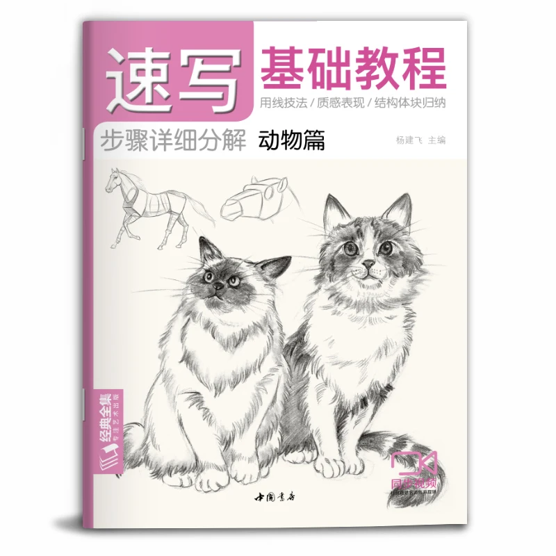 Livre de croquis de base, manuel de croquis de base à base de zéro, portrait Animal, plante, paysage, Figure faciale, manuel d'auto-apprentissage, cahier de compétences