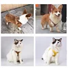 New Luxury Leather Pet Chest Strap Set Dog Leash Walking Cat Rope Medium and Small Dog Pet Supplies Puppy Accessories 6