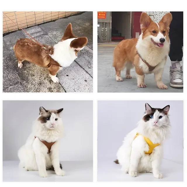 New Luxury Leather Pet Chest Strap Set Dog Leash Walking Cat Rope Medium and Small Dog Pet Supplies Puppy Accessories 6
