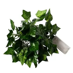 Vibrant Green Leaf LED String Lights - Battery Powered Waterproof Decor - 2M20LED (Warm White)