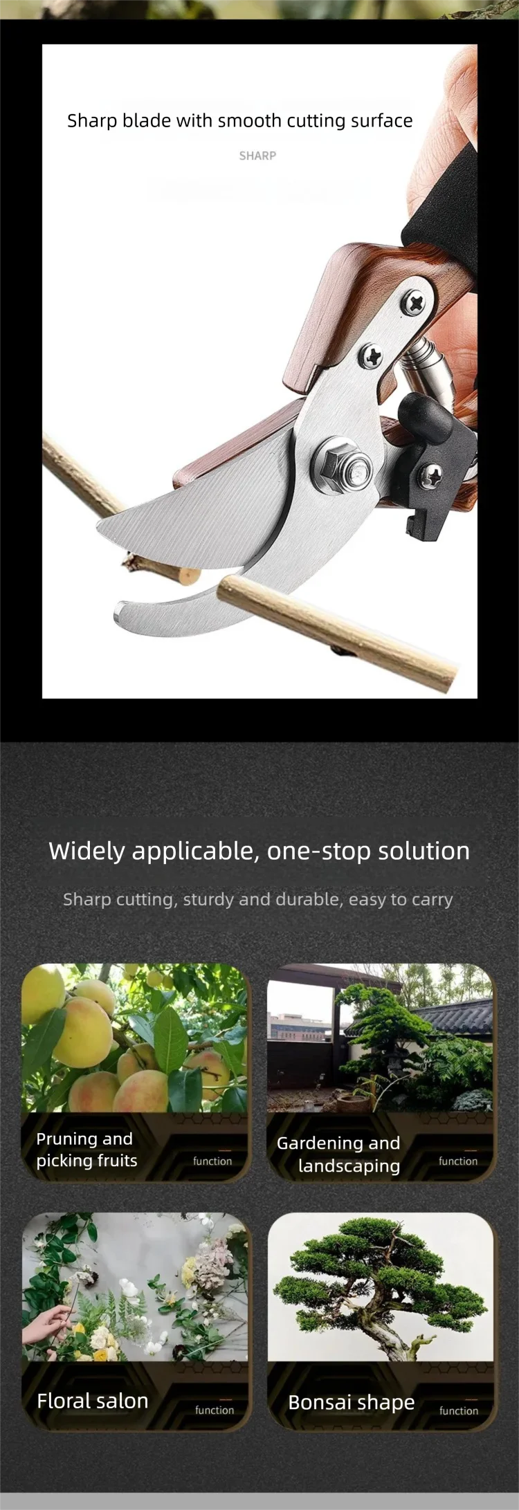 S1d14cfc6d048421eae3cce133021c914P.png