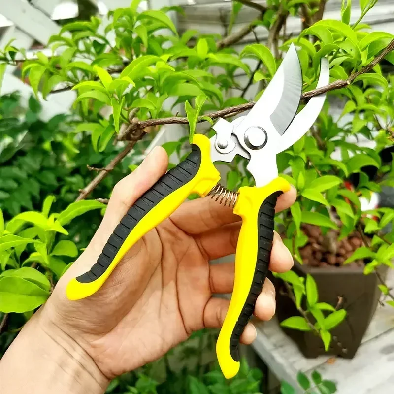 Trimming Fruit Tree Garden Professional Scissors for Branch Pruning Heavy Duty Household Gardening Shears