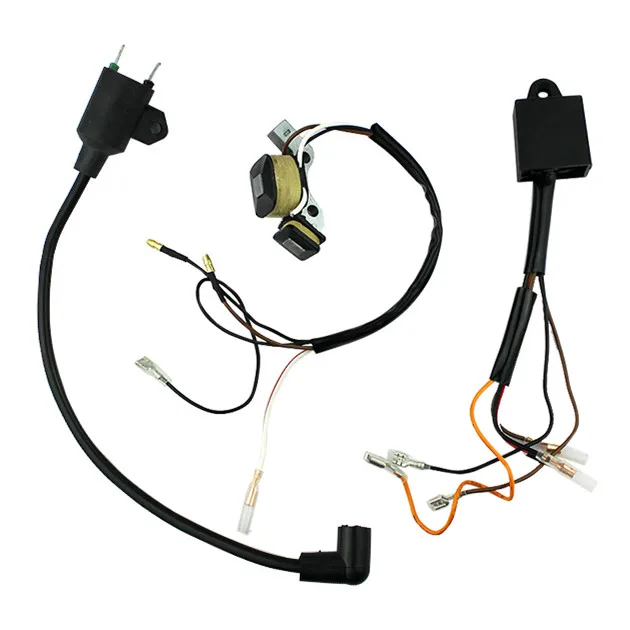 Statorspoel 2 Stks/set Met Magneto Bobine Ontsteker Voor Tijger Generator 450W 650W 800W 950W 1000W 2 Takt ET950 ET650 IE45F TG950 Stator plaat