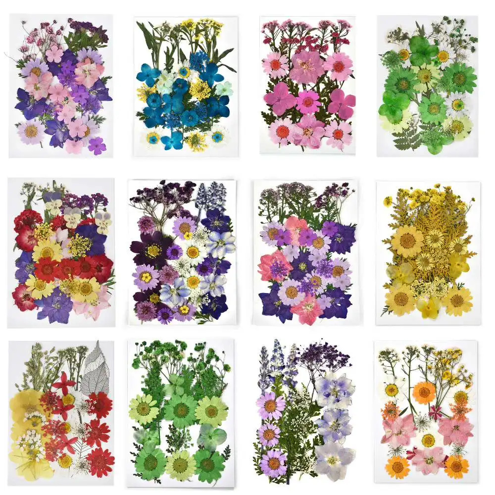 Dried Flowers DIY Pressed Flowers Stickers For Phone Case Jewelry Making Crafts Art Decor Candles DIY Materials Hydrangea Set